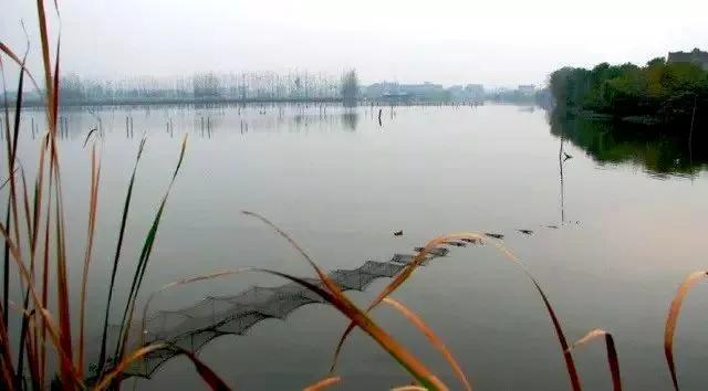 芜湖竟然也有个“西湖”?市区这11个绝美宝藏湖泊,你去过几个?