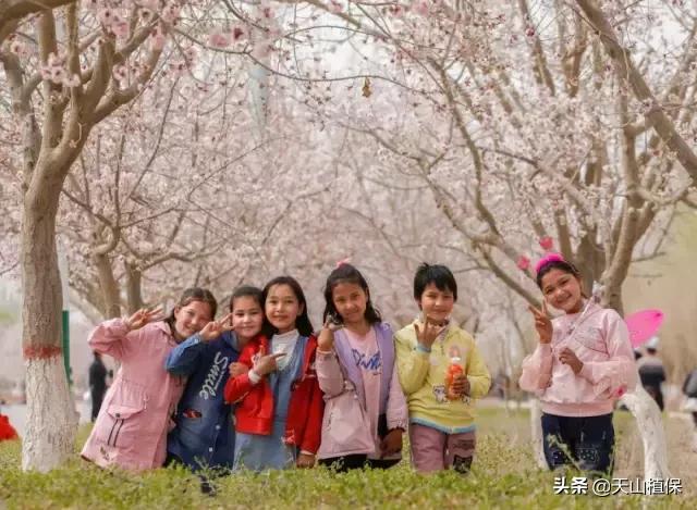 新疆的南疆图木舒克属于阿克苏吗,新疆图木舒克城市风景