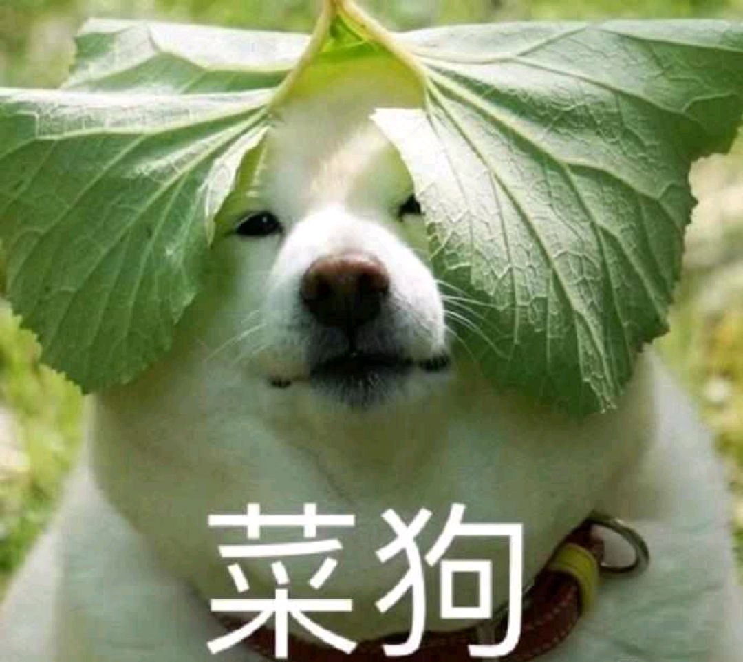 剑网3的战斗模式,剑网三攻防高燃时刻