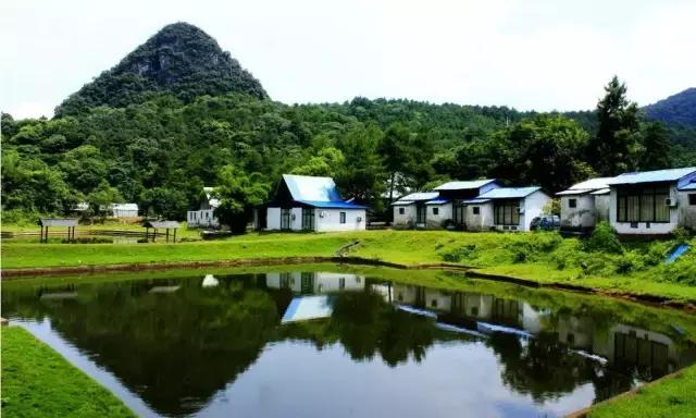 开鱼塘垂钓如何盈利,大爷创业致富项目