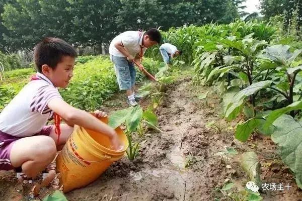 大龄休闲农庄有哪些,做休闲农庄必须考虑的几个问题