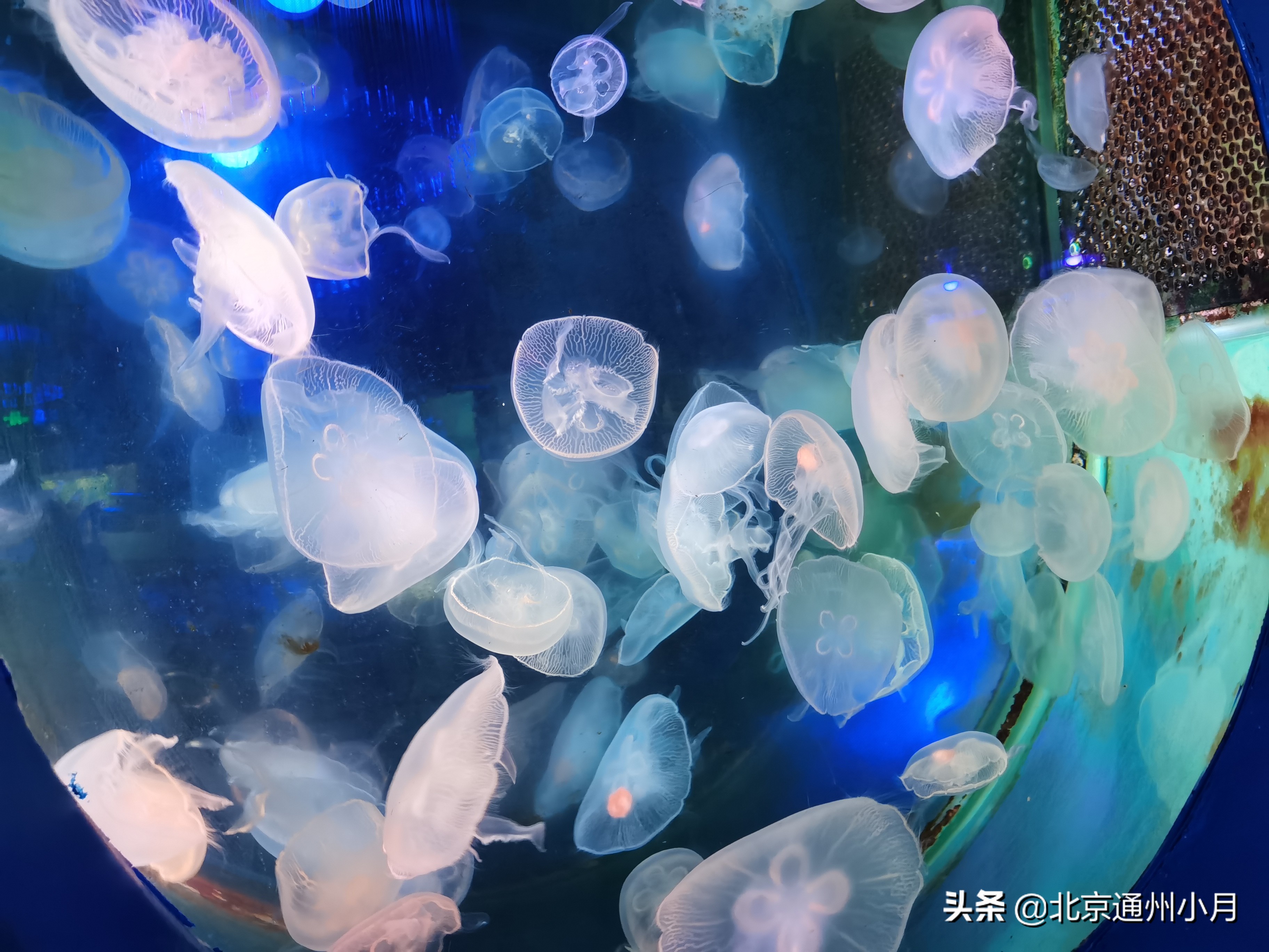 北京海底世界游览时间表,北京海底世界值得玩