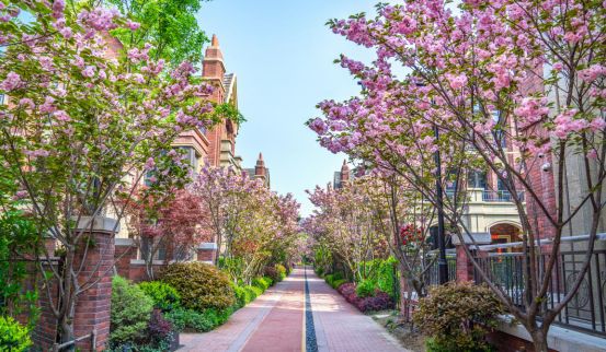 三进合肥“100亿俱乐部”，旭辉把百亿养成了习惯