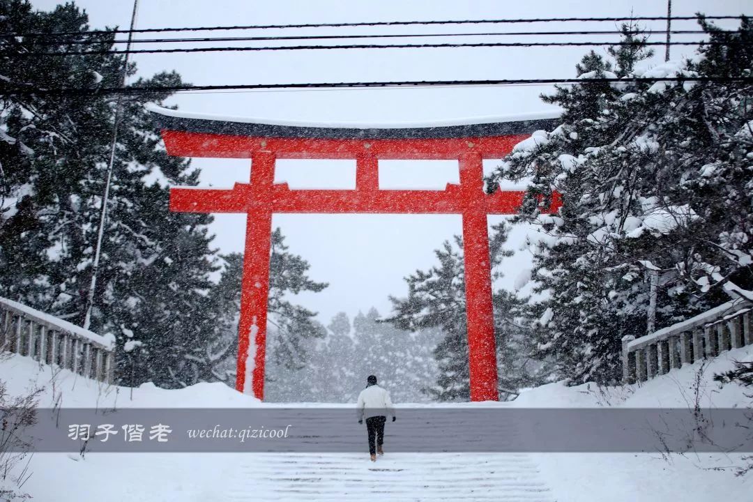 老实说，这一趟北海道就是为了拍好看的照片去的