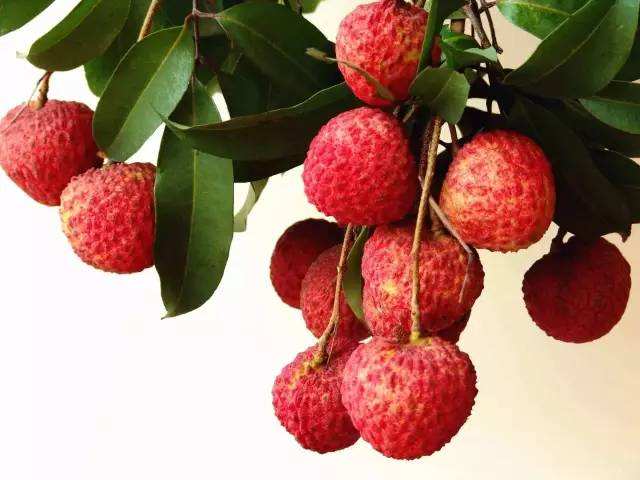 7个水果冷知识大全视频,有关水果草莓的知识