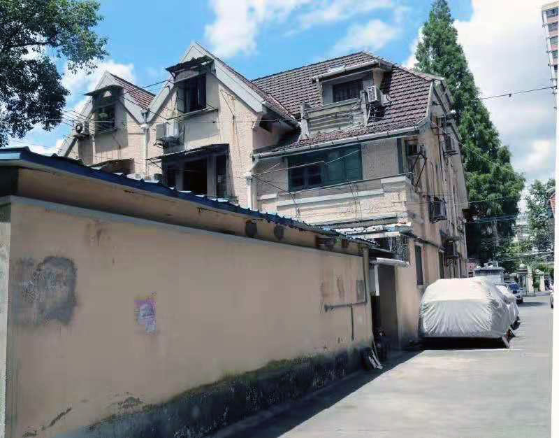 静雅碧螺红茶,静雅武夷