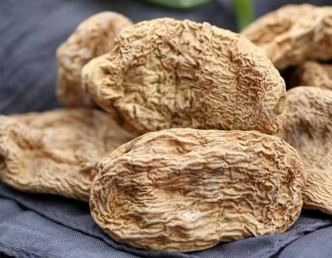 中国最好的野生天麻产地,西藏波密县哪家天麻基地最大