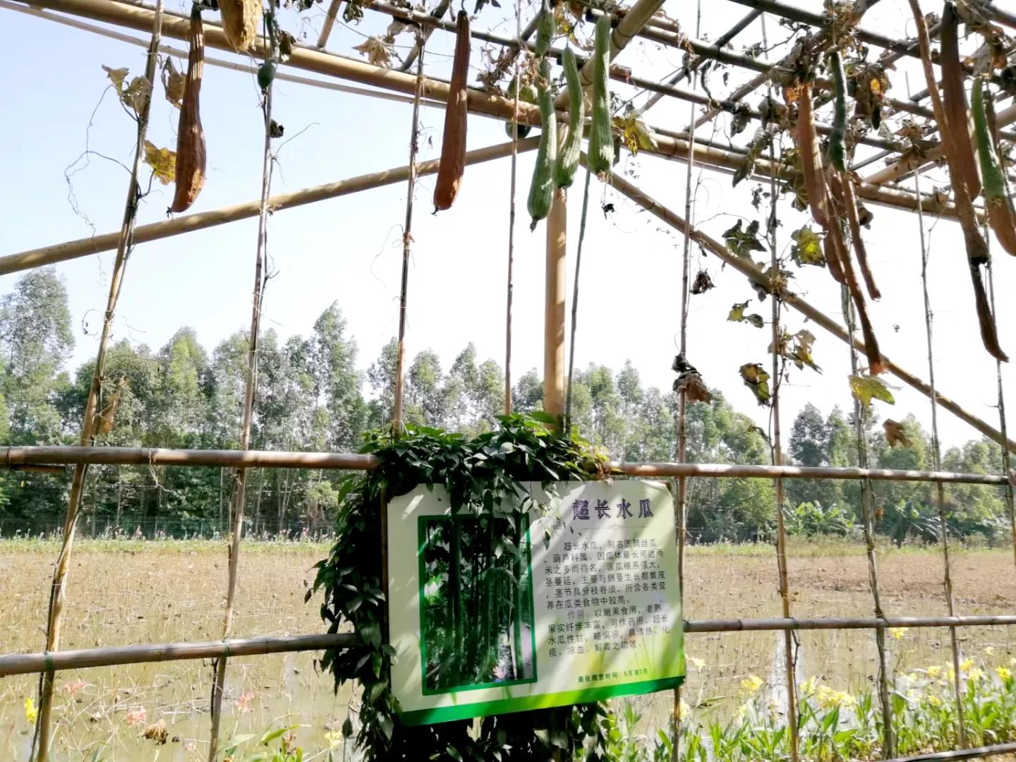 广州地铁3号线旅游攻略图,广州番禺广场地铁站旅游攻略