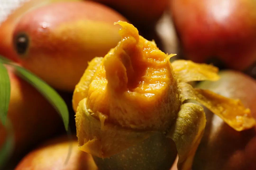 香甜多汁又软糯芒果1斤只要3块多,贵妃芒芒果直播卖货9.9元5斤