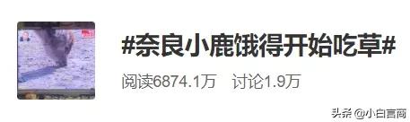 没有中国游客的日本景区,日本旅游业怎么样了