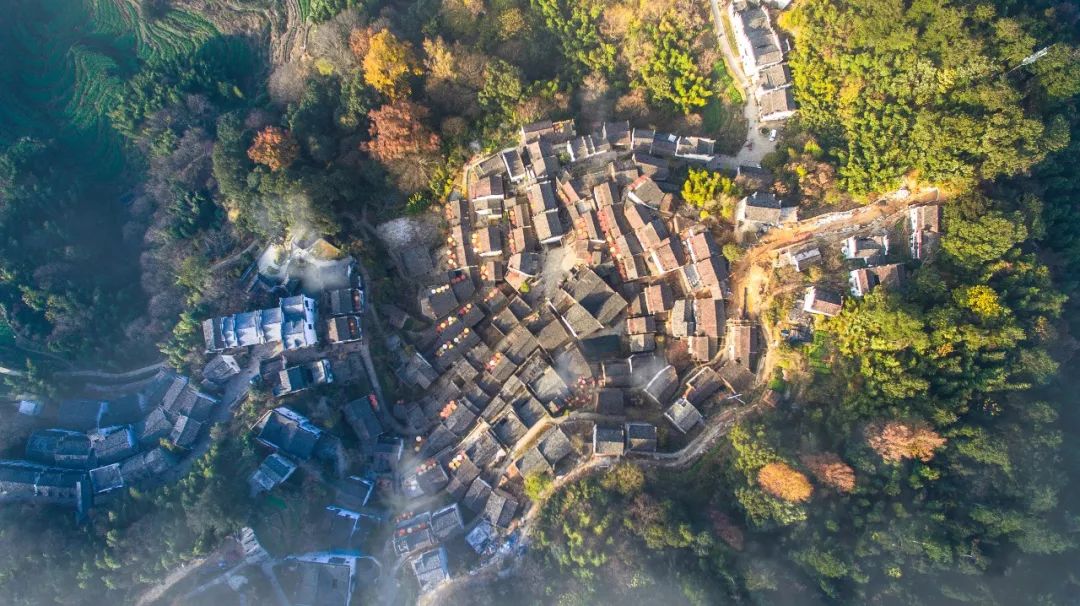 朱熹的作品朱子三家,朱熹婺源家谱