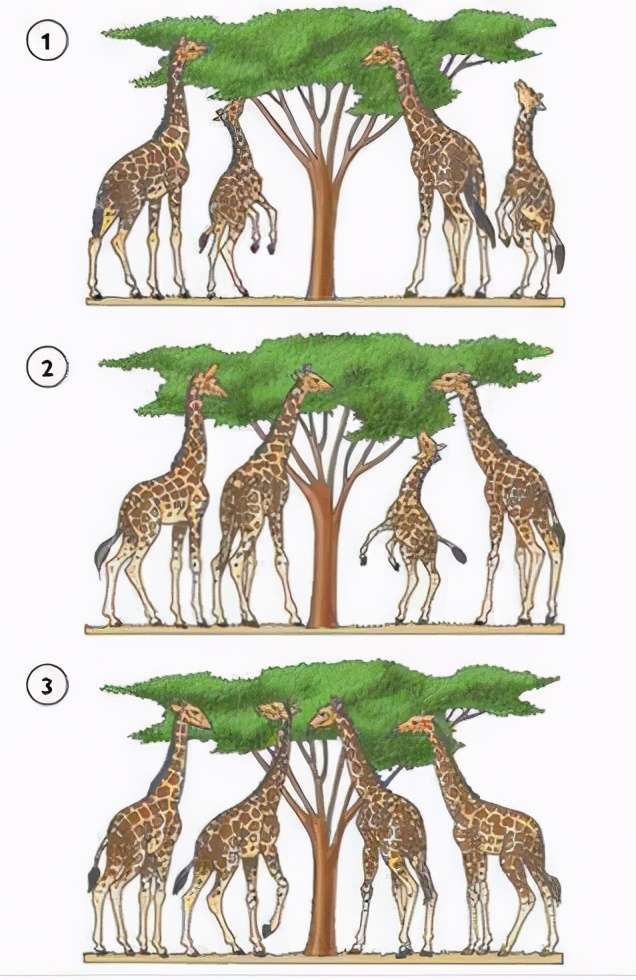 腋毛、阴毛和头发的用处是什么?为什么它们被保留下来了?