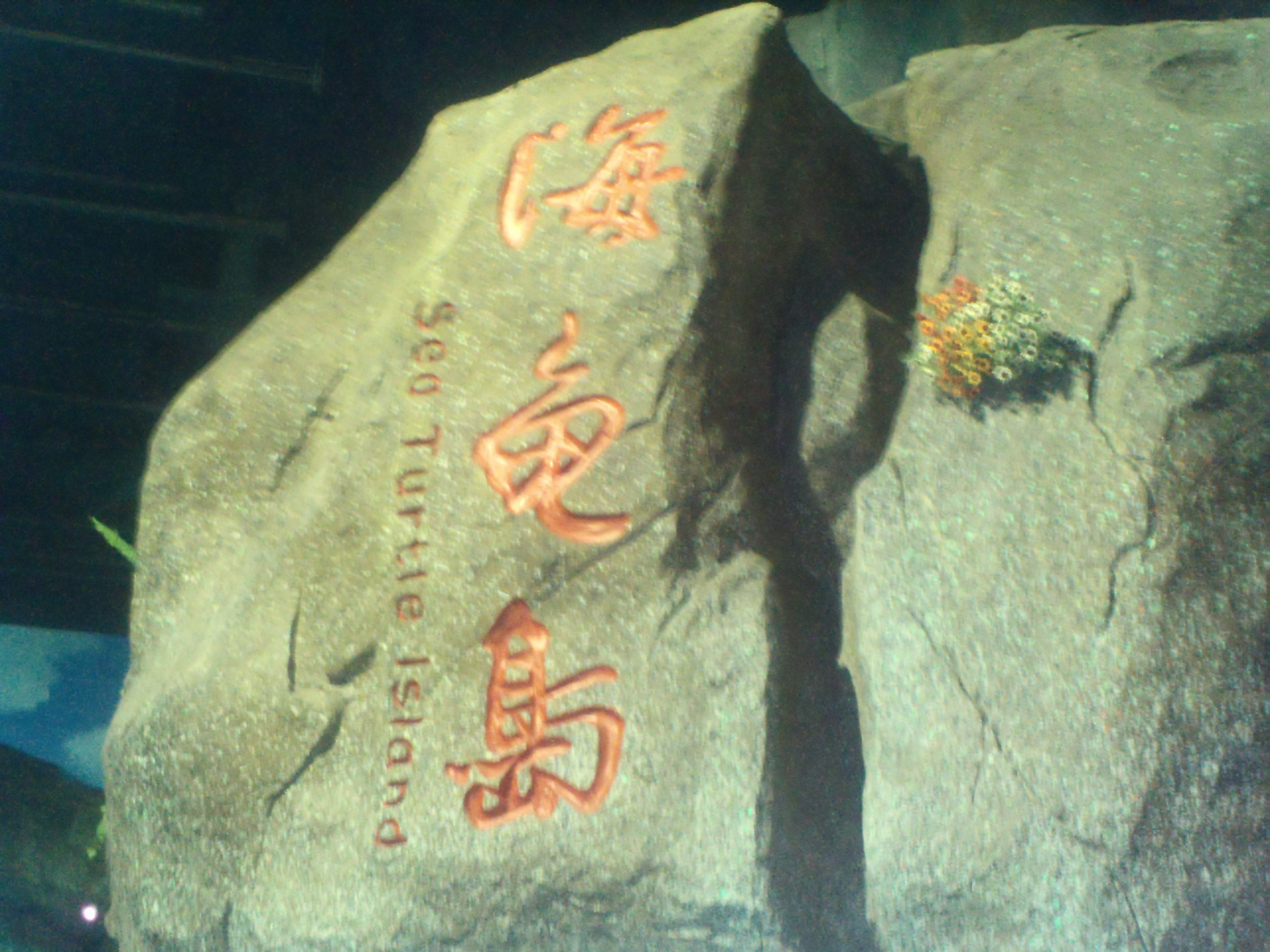 泉城海洋极地世界游玩攻略,泉城海洋极地世界官网