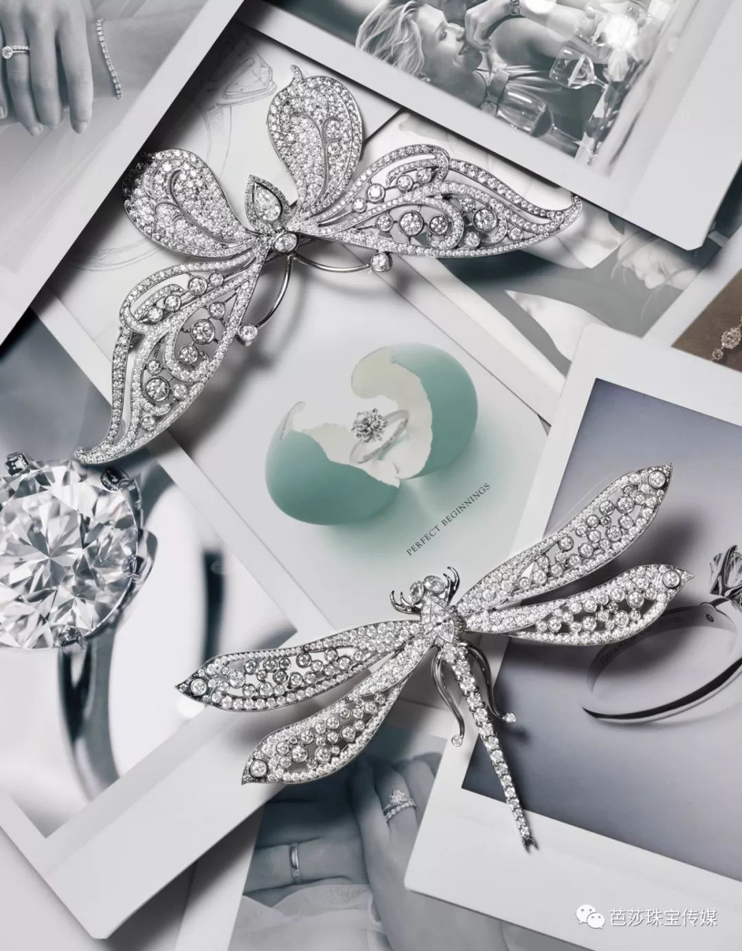 向太给郭碧婷买钻戒,向佐求婚郭碧婷钻戒