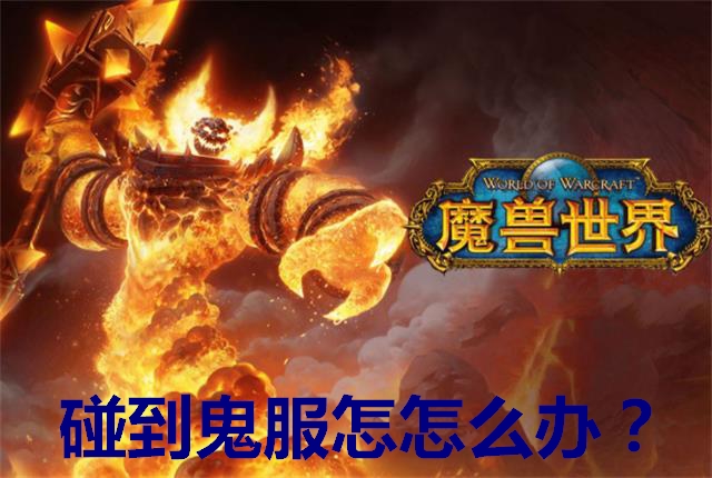 魔兽怀旧服鬼服怎么升级,魔兽世界怀旧服鬼服采药方便吗