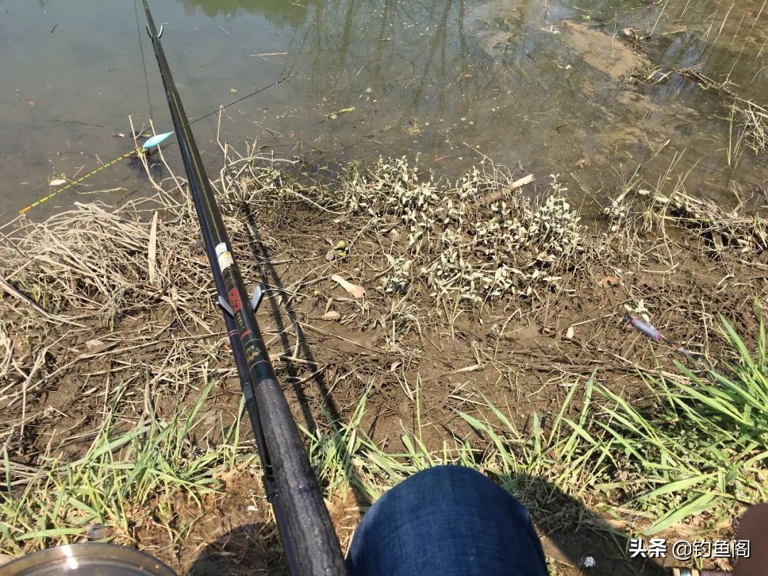 入门级野钓鱼竿推荐top10,推荐几款简单的钓鱼竿好用