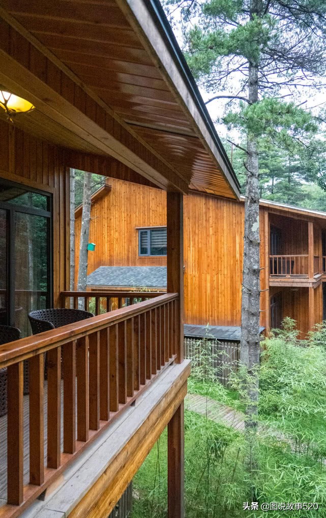 洛阳白云山山顶小木屋价格,洛阳白云山森林小木屋