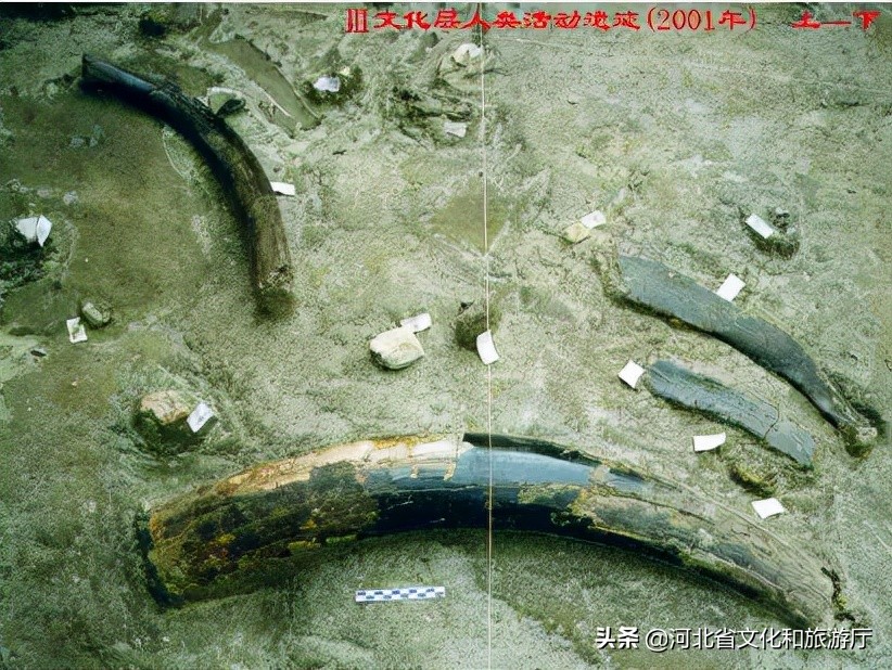 大河之北解说词,大河之北邢台篇