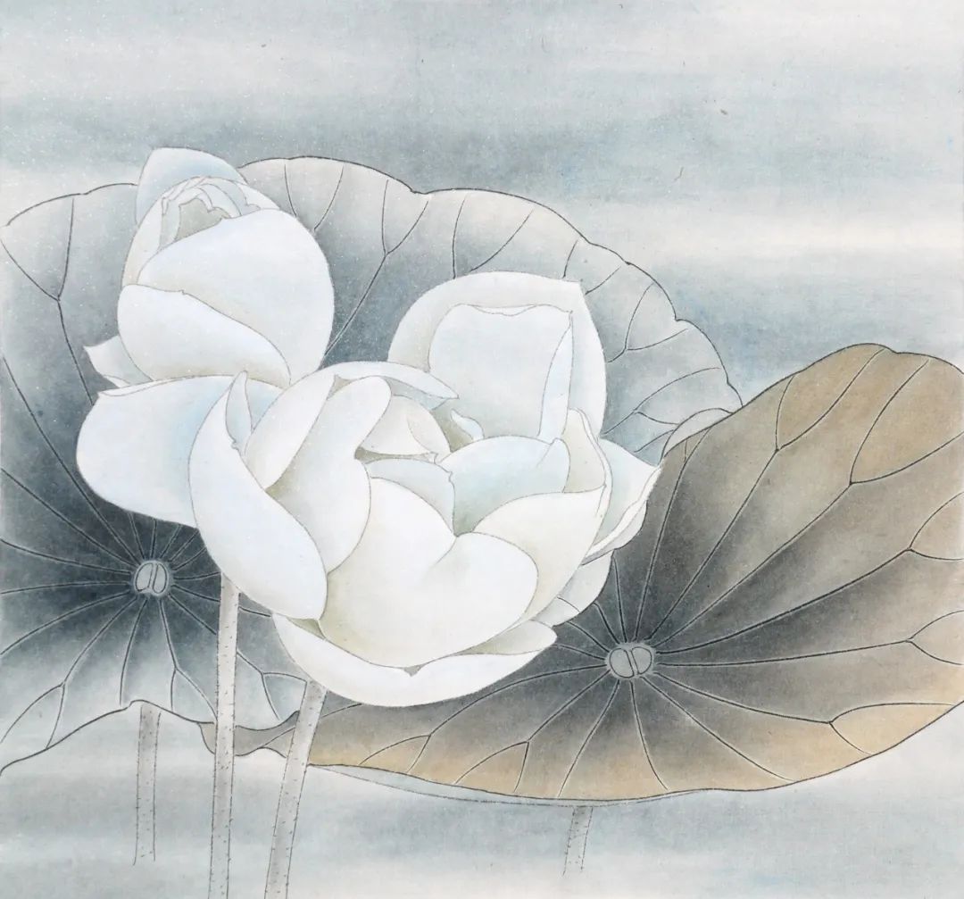 荷花手绘技巧,荷花绘步骤