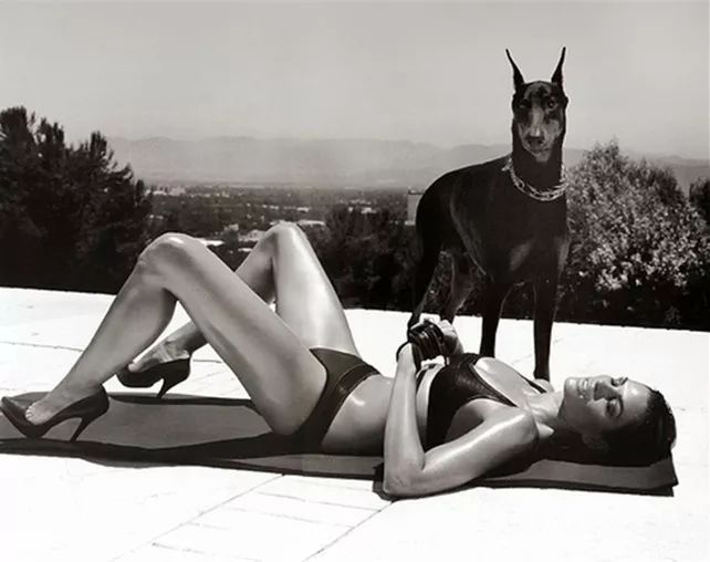 犬的记忆｜世界摄影经典