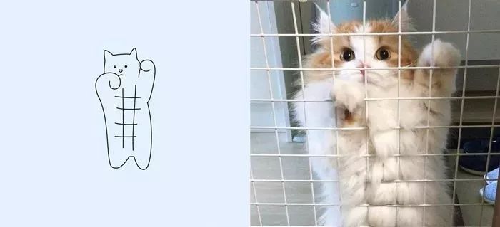 你和大触绘画的区别：一看就会一画就废，这波动物简笔画太形象了