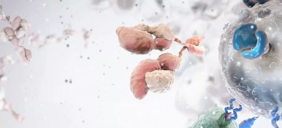 哪些痣易癌变为恶性黑色素瘤呢,如何判断痣会不会恶化成黑色素瘤