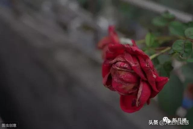 美文滋润心灵,美文滋养心田