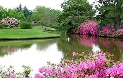 游山西村的翻译简短版,《游山西村》翻译全文