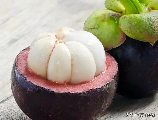 山竹油竹麻竹红叶怎么区分,山竹麻竹油竹瓜竹都是怎么区分的