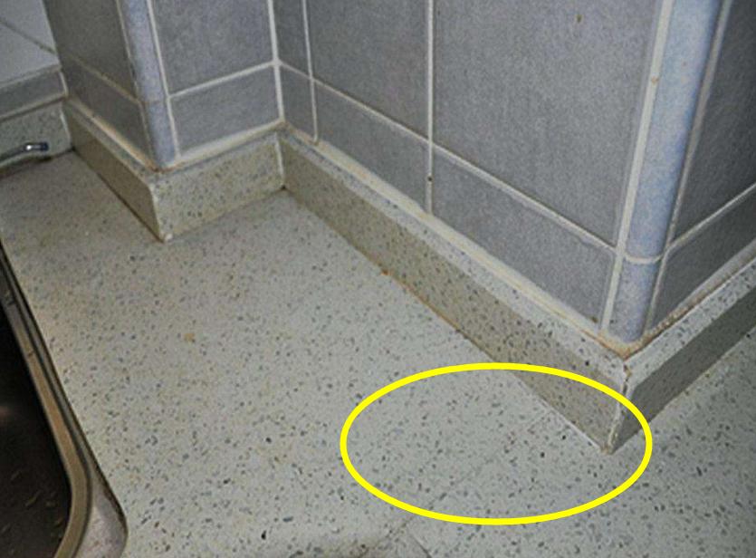 橱柜用木头台面好不好用,橱柜用不锈钢好吗