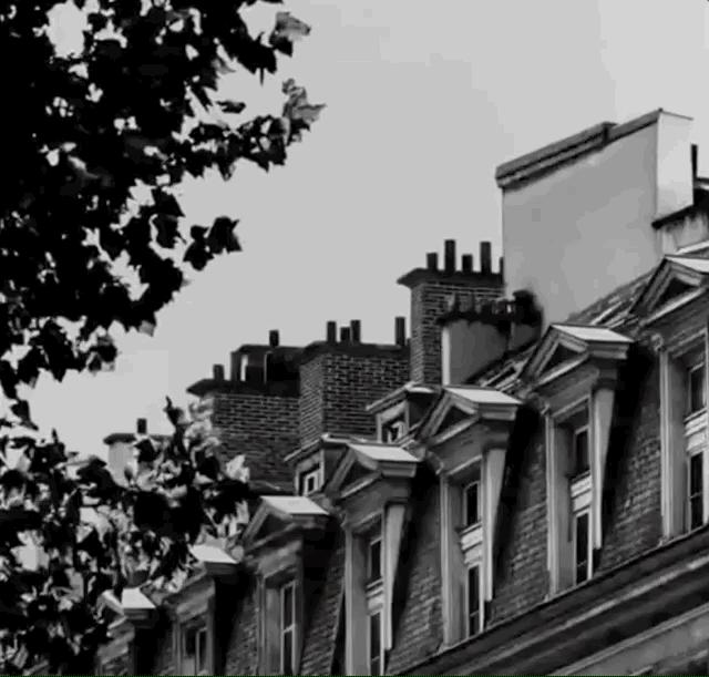 香奈儿neverfull中号手袋,香奈儿mademoiselle手袋