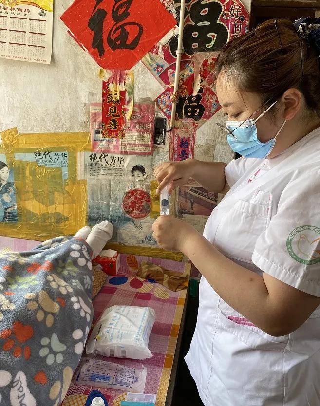 世界家庭医生日素材,第10个世界家庭医生日服务活动