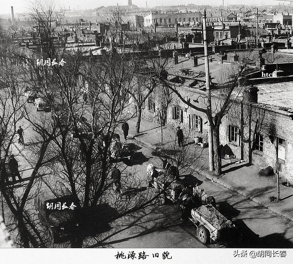 好男不娶桃源路什么意思,好男不娶桃源路好女不嫁八里堡