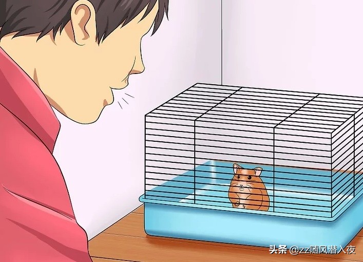 如何获得小仓鼠的信任,如何让小仓鼠信任你