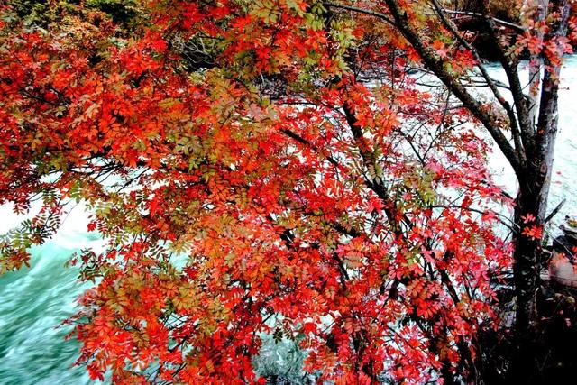 绝美川西自驾318,川西最值得去的旅行