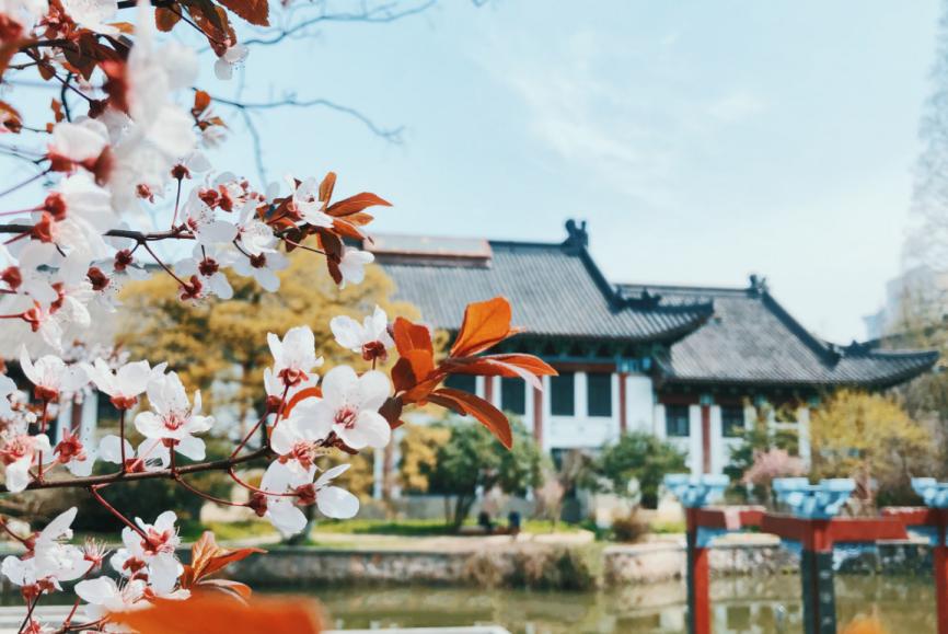 徐悲鸿创立什么的美术学院,徐悲鸿创办的艺术学院有哪些