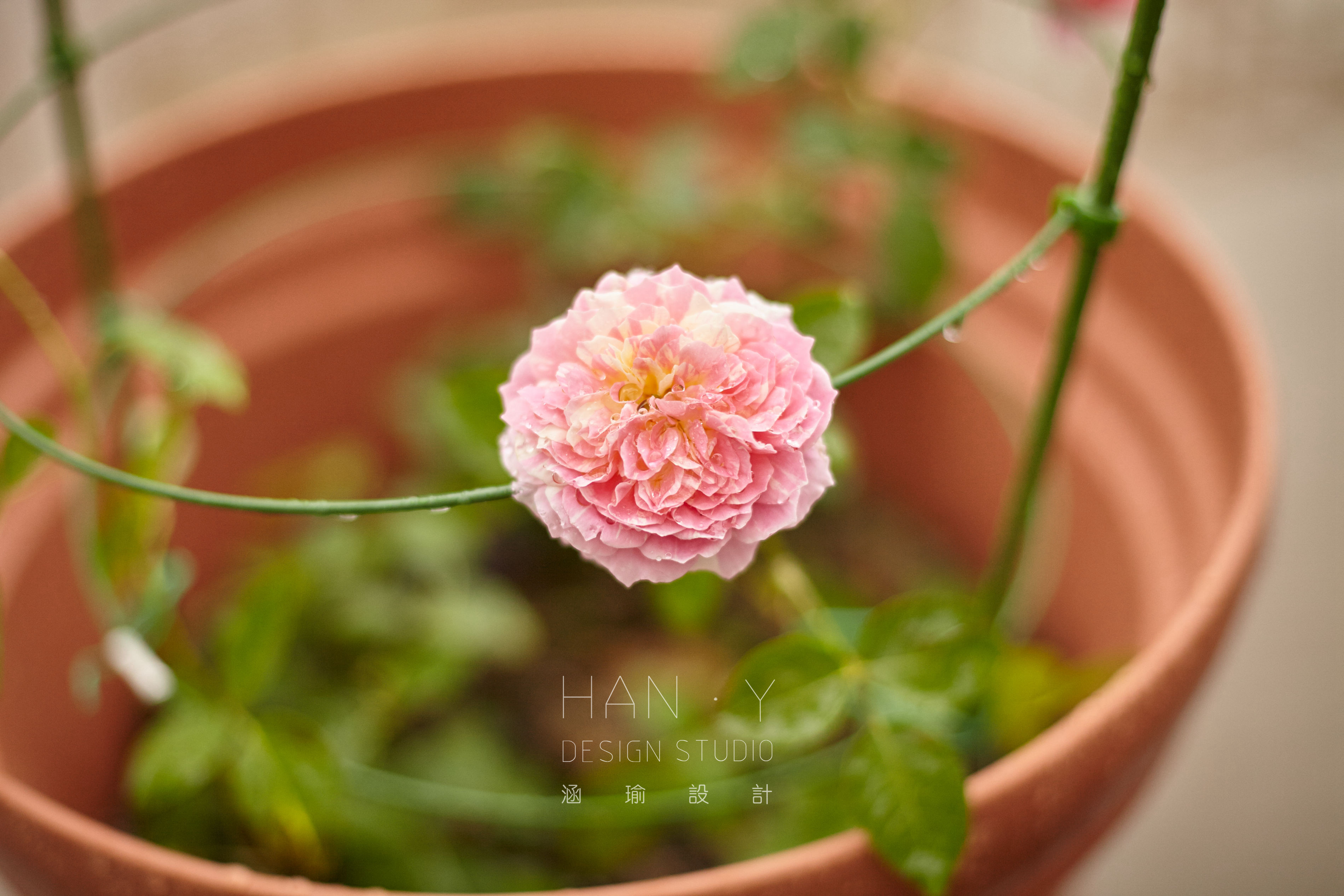 莫奈印象房子,莫奈房子装修效果图