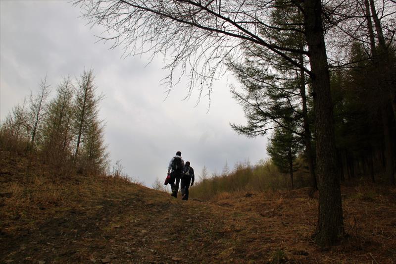 陌上花开岁月如故,陌上花开岁月无恙