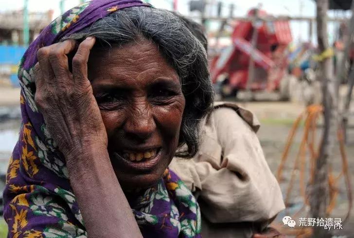 改变世界的植物：骆驼蓬PeganumharmalaL.