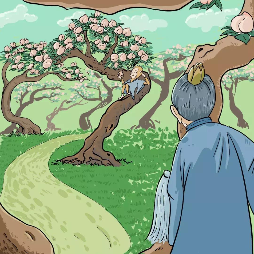 孙悟空六个结拜兄弟为什么不帮忙,菩提老祖刚开始教孙悟空什么本事