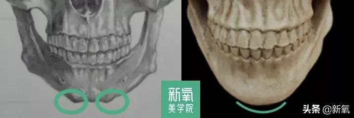 二次元和三次元的区别视频,二次元脸的颜色是什么