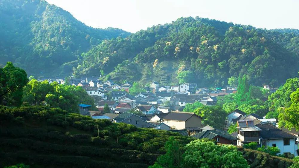 杭州出家,杭州出家需要什么条件