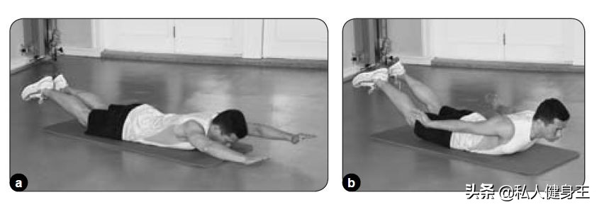 5种锻炼核心力量的动作,5个功能性训练动作