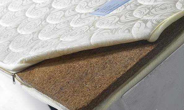 甲醛大家一直头疼的问题？你有办法去除吗？不妨试试我的办法？