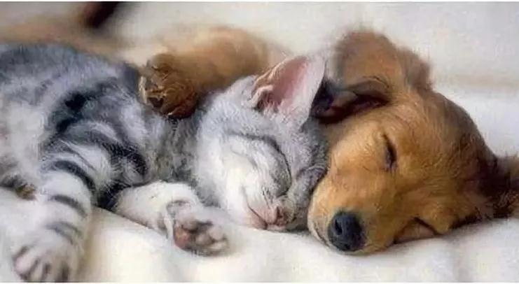 留学生海关被检查,萝卜丁口红过不了安检