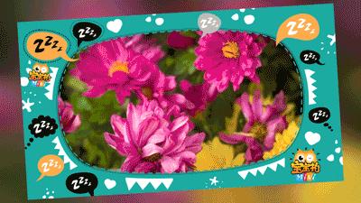 距圣诞只剩7天的礼物,走心圣诞礼物清单