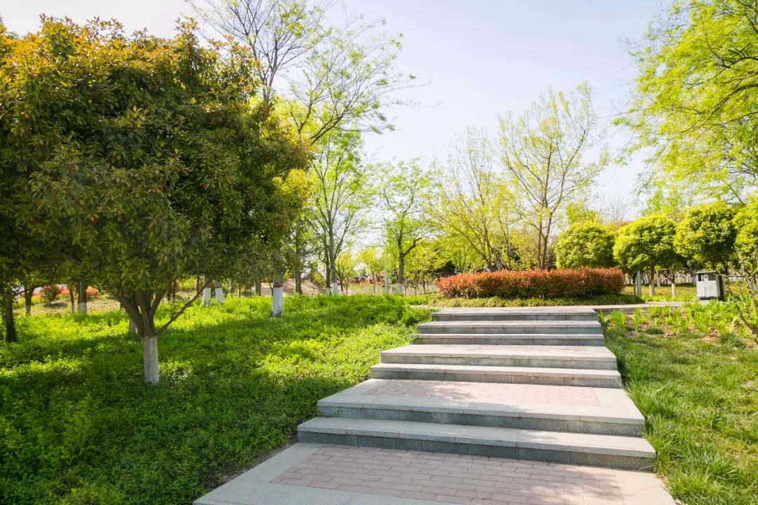 郑州亲子游户外公园十大排行榜,郑州免费适合遛娃玩的公园