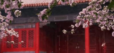 1亿人看故宫视频,一亿人民币围观故宫