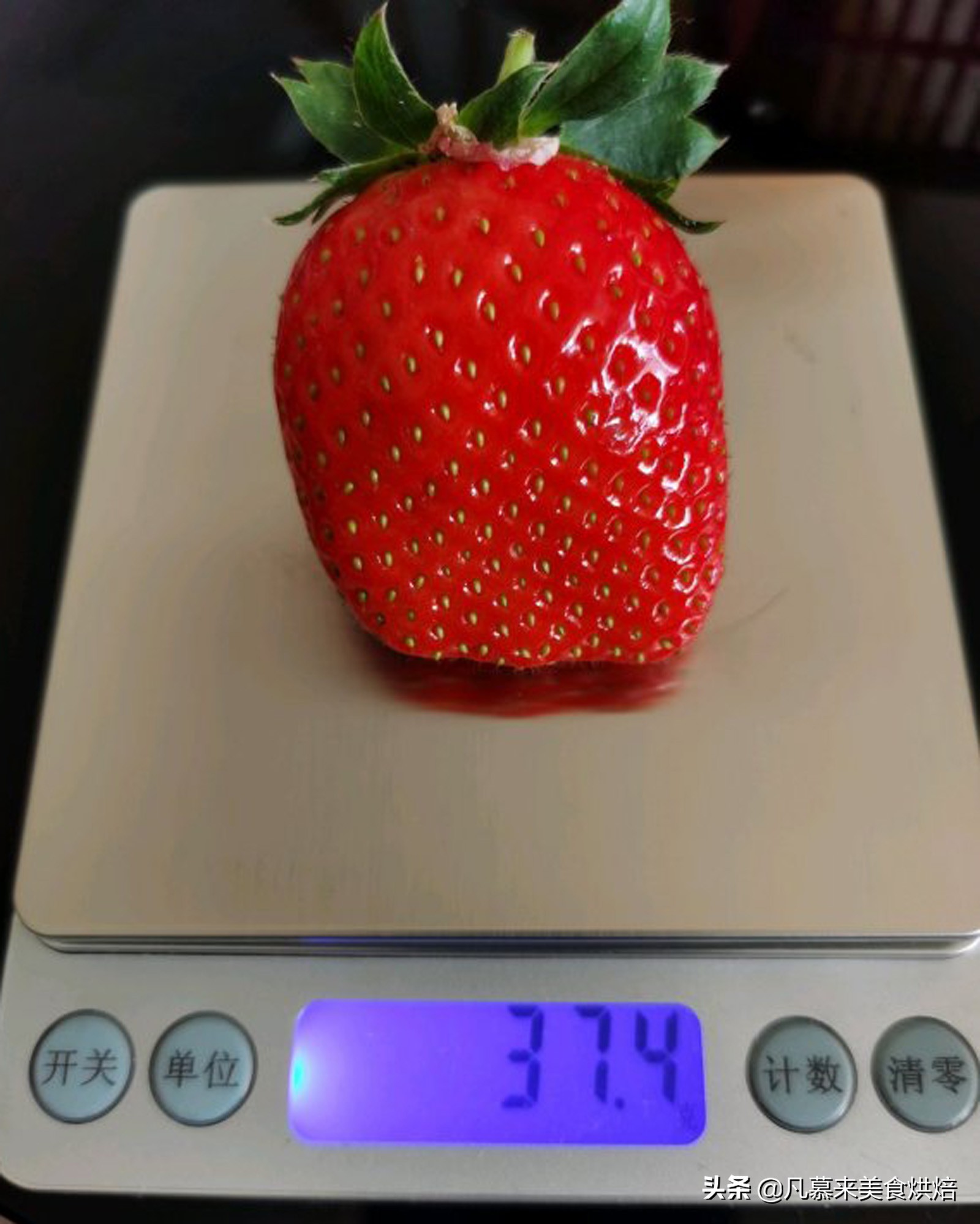 草莓哪个品种最好吃又好种,2018产量最好最大的草莓品种