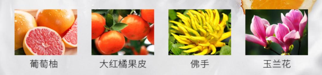 董子初李佳,董子初张沫凡